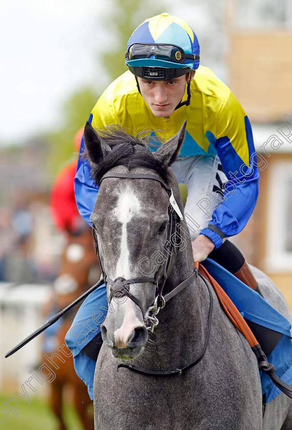 Dragon-Symbol-0002 
 DRAGON SYMBOL (David Egan)
York 11 May 2022 - Pic Steven Cargill / Racingfotos.com