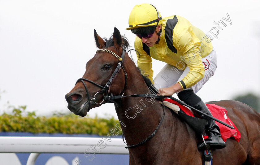 Yaroogh-0001 
 YAROOGH (Tom Marquand) wins The Unibet British Stallion Studs EBF Novice Stakes
Kempton 7 Aug 2024 - Pic Steven Cargill / Racingfotos.com