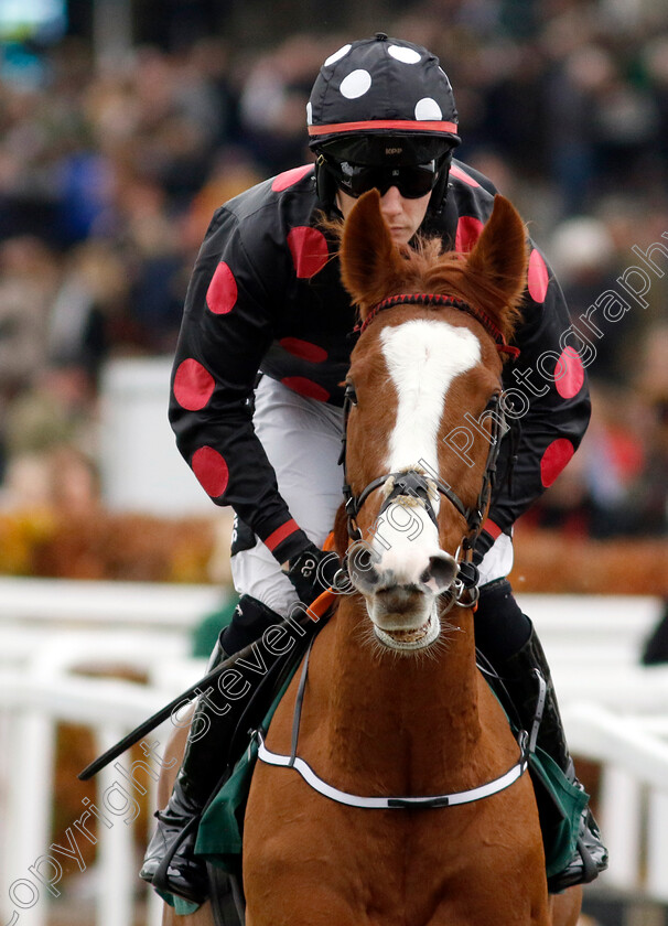 Whimsy-0001 
 WHIMSY (J P O'Sullivan)
Cheltenham 17 Nov 2024 - Pic Steven Cargill / Racingfotos.com