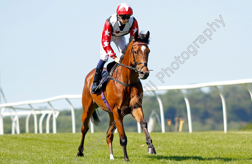 Ochil-House 
 OCHIL HOUSE (Harry Davies)
Chepstow 27 May 2022 - Pic Steven Cargill / Racingfotos.com