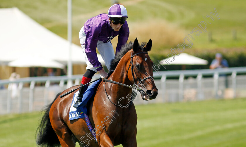 Tony-Montana-0001 
 TONY MONTANA (David Egan)
Goodwood 30 Jul 2024 - Pic Steven Cargill / Racingfotos.com