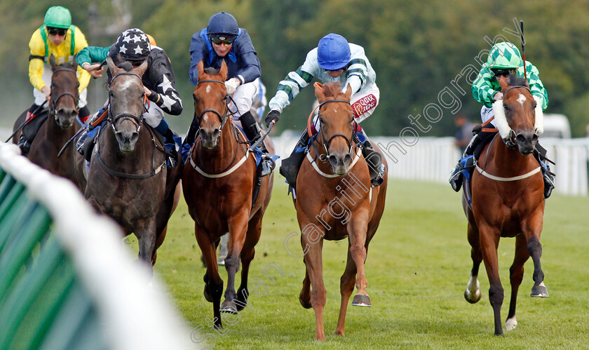 Belated-Breath-0005 
 BELATED BREATH (2nd right, Oisin Murphy) beats BETSEY TROTTER (right) LADY DANCEALOT (2nd left) and GOODNIGHT GIRL (left) in The European Bloodstock News EBF Lochsong Fillies Handicap
Salisbury 5 Sep 2019 - Pic Steven Cargill / Racingfotos.com