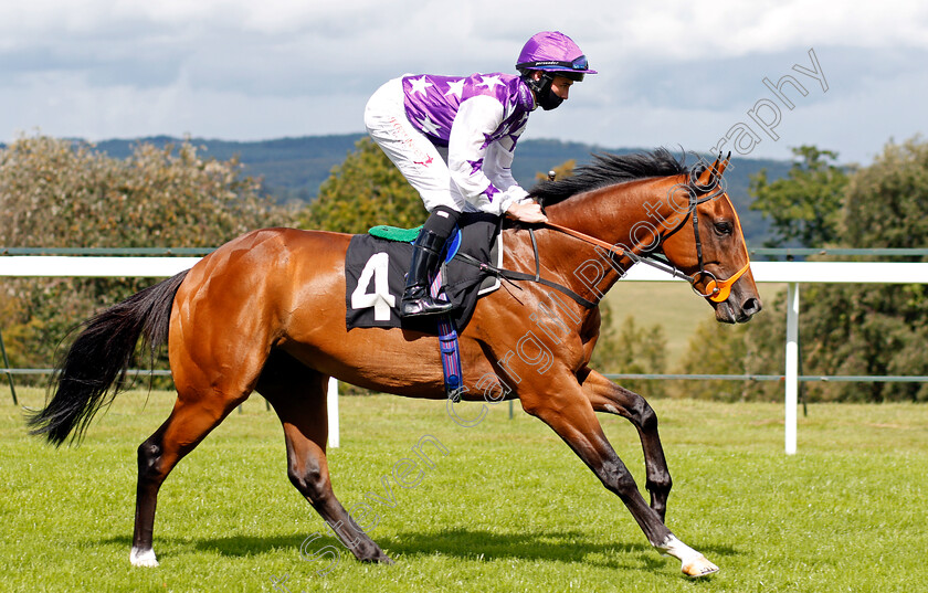 Babajan-0001 
 BABAJAN (Rossa Ryan)
Goodwood 28 Aug 2020 - Pic Steven Cargill / Racingfotos.com