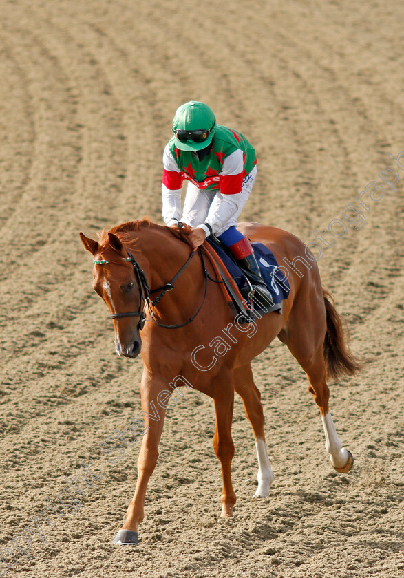 Sea-Trout-0001 
 SEA TROUT (Marco Ghiani)
Lingfield 5 Aug 2020 - Pic Steven Cargill / Racingfotos.com