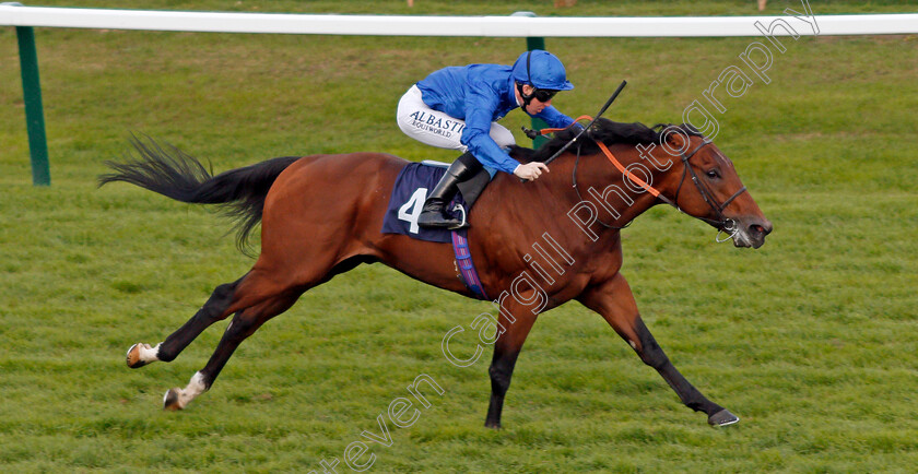 Big-Tour-0003 
 BIG TOUR (Pat Cosgrave) wins The Bombadier Beer Handicap Yarmouth 21 Sep 2017 - Pic Steven Cargill / Racingfotos.com