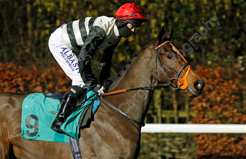 Polar-Ice-0001 
 POLAR ICE (Luke Morris)
Kempton 13 Jan 2021 - Pic Steven Cargill / Racingfotos.com