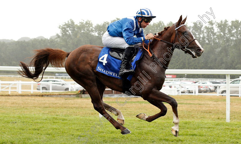 No-And-No-Al-Maury-0006 
 NO AND NO AL MAURY (Francois Xavier Bertras) wins The UAE Embassy In London International Stakes
Newbury 29 Jul 2018 - Pic Steven Cargill / Racingfotos.com