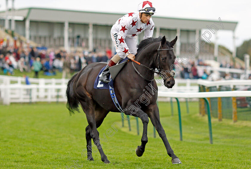 Hajaam-0001 
 HAJAAM (Stevie Donohoe) winner of The Philip Southgate Socks & Sandals Handicap Yarmouth 24 Oct 2017 - Pic Steven Cargill / Racingfotos.com