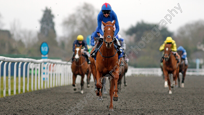 Kestenna-0004 
 KESTENNA (Robert Havlin) wins The Unibet Casino Deposit £10 Get £40 Bonus Fillies Novice Stakes
Kempton 16 Feb 2021 - Pic Steven Cargill / Racingfotos.com