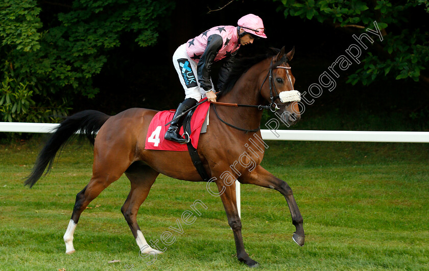 Trailboss-0002 
 TRAILBOSS (Stevie Donohoe)
Sandown 30 May 2019 - Pic Steven Cargill / Racingfotos.com