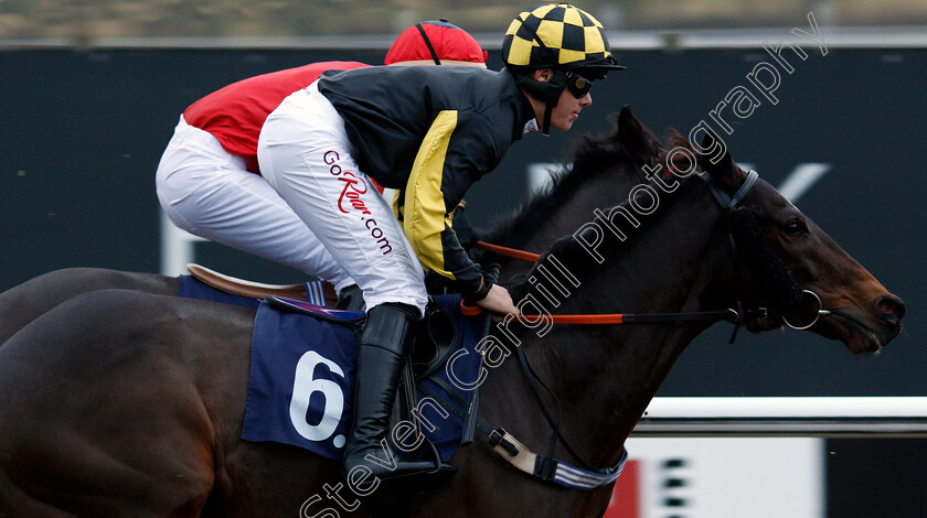 Bohemian-Rhapsody-0010 
 BOHEMIAN RHAPSODY (Charlie Todd) Lingfield 6 Dec 2017 - Pic Steven Cargill / Racingfotos.com