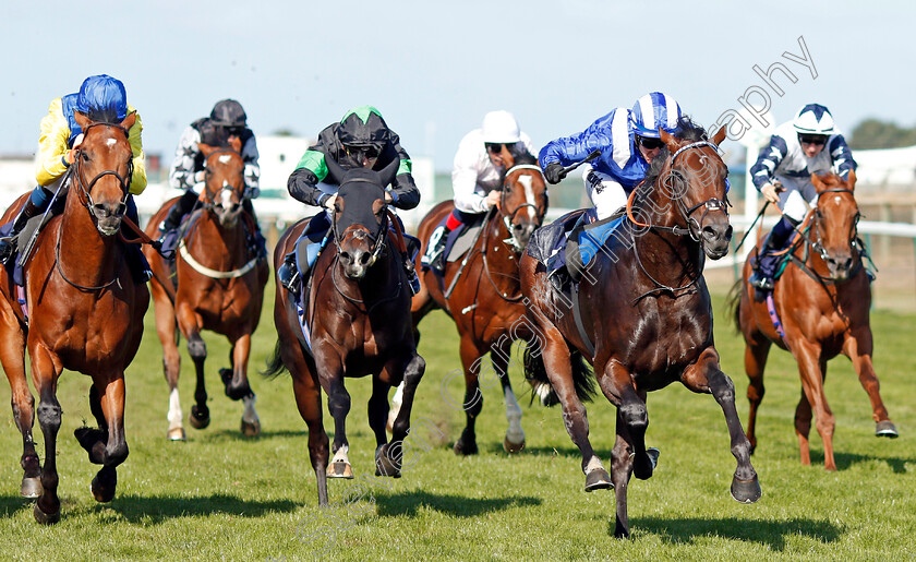 Maqtal-0007 
 MAQTAL (right, Jim Crowley) beats ZAFEER (left) and FRANKLY MR SHANKLY (centre) in The British Stallion Studs EBF Maiden Stakes
Yarmouth 18 Sep 2019 - Pic Steven Cargill / Racingfotos.com