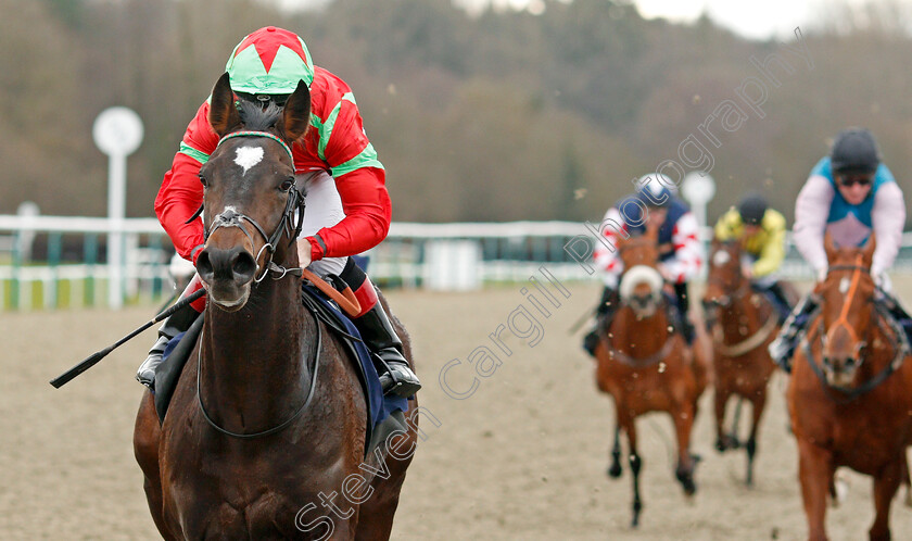 Cable-Speed-0009 
 CABLE SPEED (Ben Curtis) wins The Ladbrokes Where The Nation Plays Novice Median Auction Stakes Div1
Lingfield 4 Jan 2020 - Pic Steven Cargill / Racingfotos.com