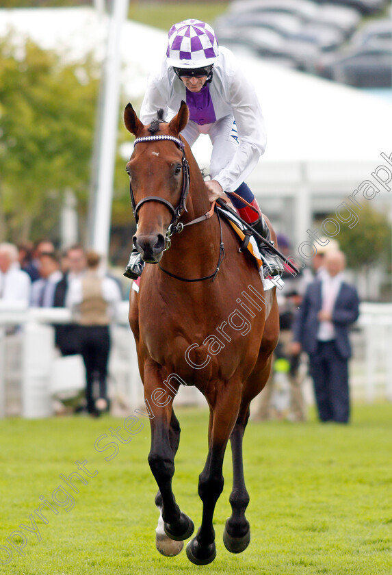 Poetic-Flare-0001 
 POETIC FLARE (Kevin Manning)
Goodwood 28 Jul 2021 - Pic Steven Cargill / Racingfotos.com