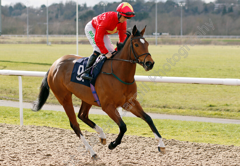 Highfield-Princess 
 HIGHFIELD PRINCESS (Jason Hart)
Wolverhampton 12 Mar 2022 - Pic Steven Cargill / Racingfotos.com