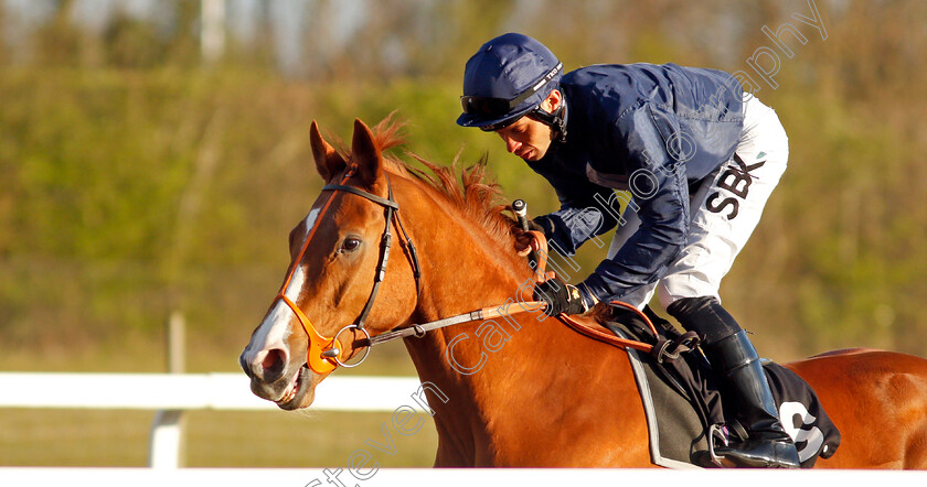 Always-Fearless 
 ALWAYS FEARLESS (Sean Levey)
Chelmsford 31 Mar 2022 - Pic Steven Cargill / Racingfotos.com