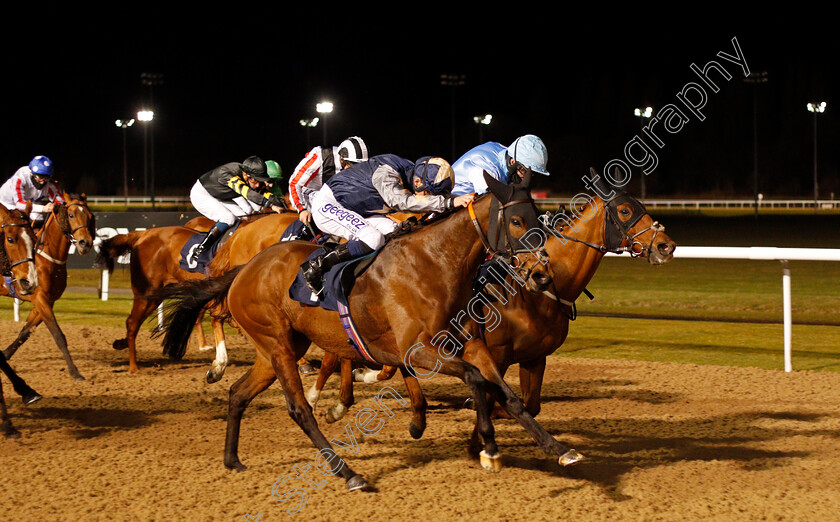 Plansina-0003 
 PLANSINA (David Probert) wins The Play 4 To Score At Betway Handicap Div2
Wolverhampton 12 Mar 2021 - Pic Steven Cargill / Racingfotos.com