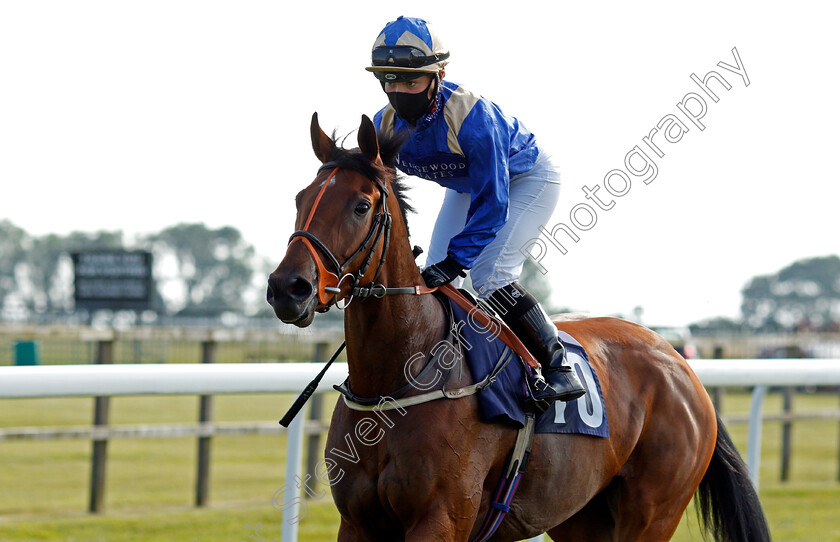 Cherish-0003 
 CHERISH (Mollie Phillips) winner of The Free Tips Daily On attheraces.com Handicap
Bath 23 Jun 2021 - Pic Steven Cargill / Racingfotos.com