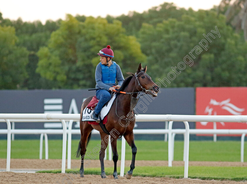 Samedi-Rien-0001 
 SAMEDI RIEN training at the Dubai World Cup Carnival
Meydan 5 Jan 2023 - Pic Steven Cargill / Racingfotos.com