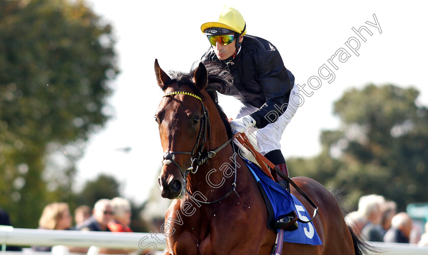 Ginistrelli-0002 
 GINISTRELLI (Gerald Mosse)
Salisbury 3 Oct 2018 - Pic Steven Cargill / Racingfotos.com