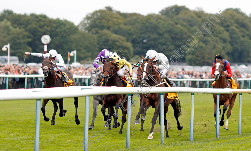 Golden-Flame-0002 
 GOLDEN FLAME (Joe Fanning) wins The My Odds Boost On Betfair Handicap
Haydock 4 Sep 2021 - Pic Steven Cargill / Racingfotos.com