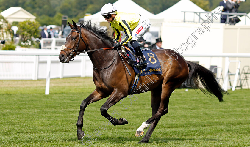 East-India-Dock-0002 
 EAST INDIA DOCK (Hollie Doyle)
Royal Ascot 20 Jun 2024 - Pic Steven Cargill / Racingfotos.com