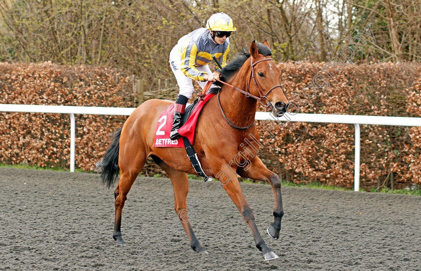 Hunaina-0002 
 HUNAINA (Alexis Badel) winner of The Betfred Home Of Goals Galore Snowdrop Fillies Stakes Kempton 7 Apr 2018 - Pic Steven Cargill / Racingfotos.com