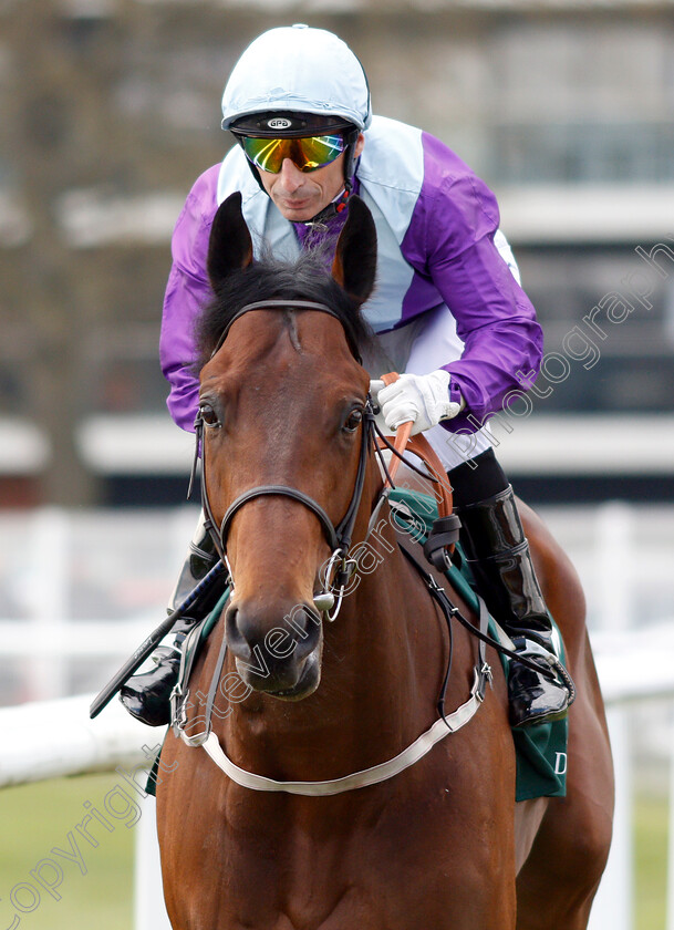 No-Nonsense-0001 
 NO NONSENSE (Gerald Mosse)
Newbury 13 Apr 2019 - Pic Steven Cargill / Racingfotos.com