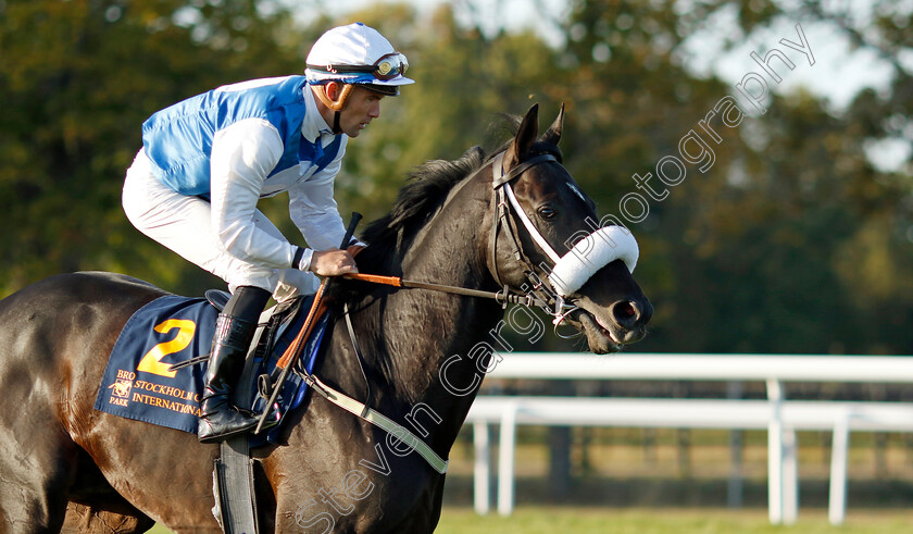 Ami-De-Vega-0001 
 AMI DE VEGA (Oliver Wilson)
Bro Park, Sweden 15 Sep 2024 - Pic Steven Cargill / Racingfotos.com