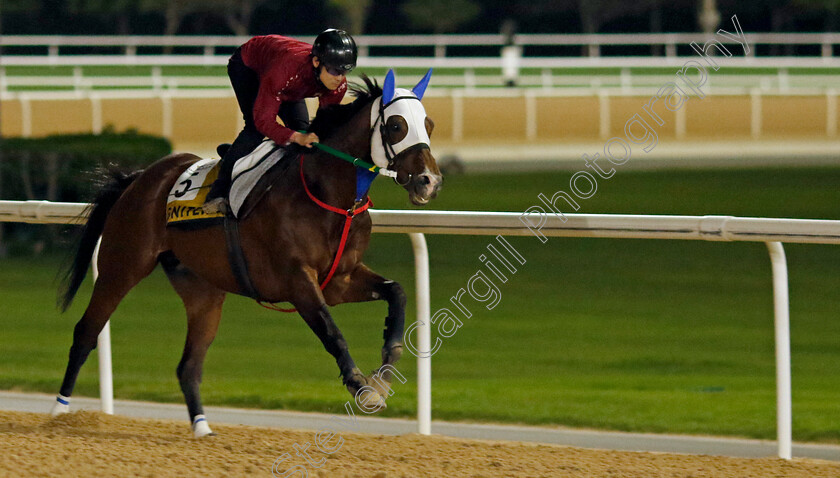 Igniter-0001 
 IGNITER training for The Golden Shaheen
Meydan Dubai 27 Mar 2024 - Pic Steven Cargill / Racingfotos.com