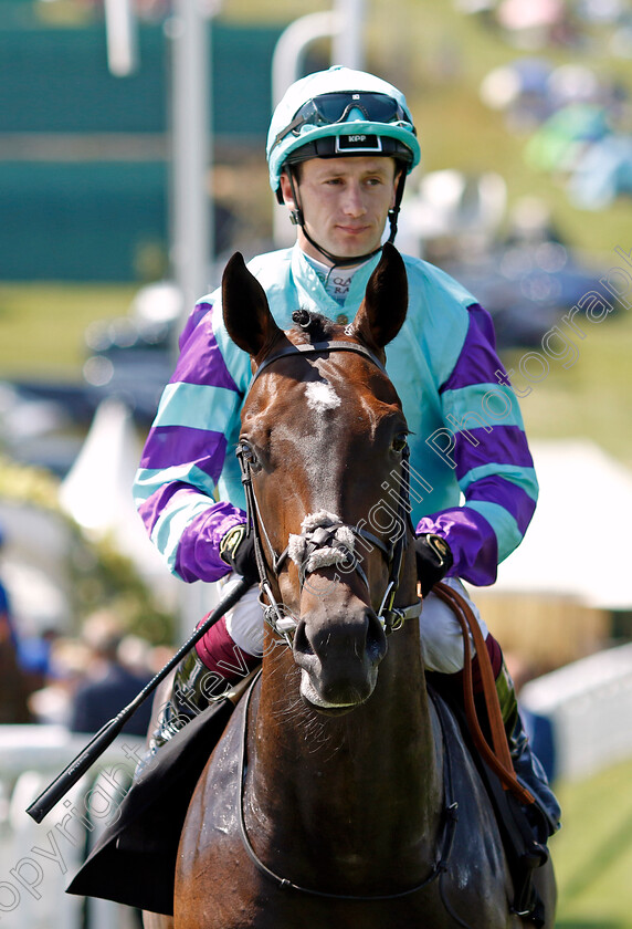 Cool-Hoof-Luke-0002 
 COOL HOOF LUKE (Oisin Murphy)
Goodwood 30 Jul 2024 - Pic Steven Cargill / Racingfotos.com