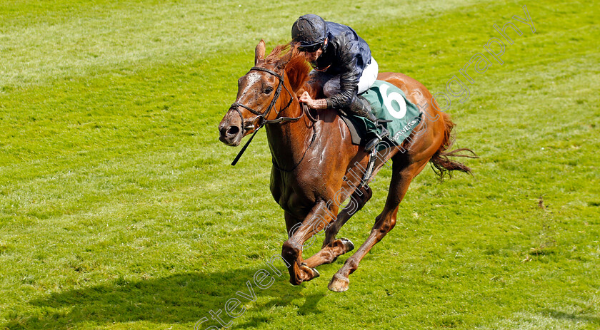 Savethelastdance-0004 
 SAVETHELASTDANCE (Ryan Moore) wins The Weatherbys Digital Solutions Cheshire Oaks
Chester 10 May 2023 - Pic Steven Cargill / Racingfotos.com