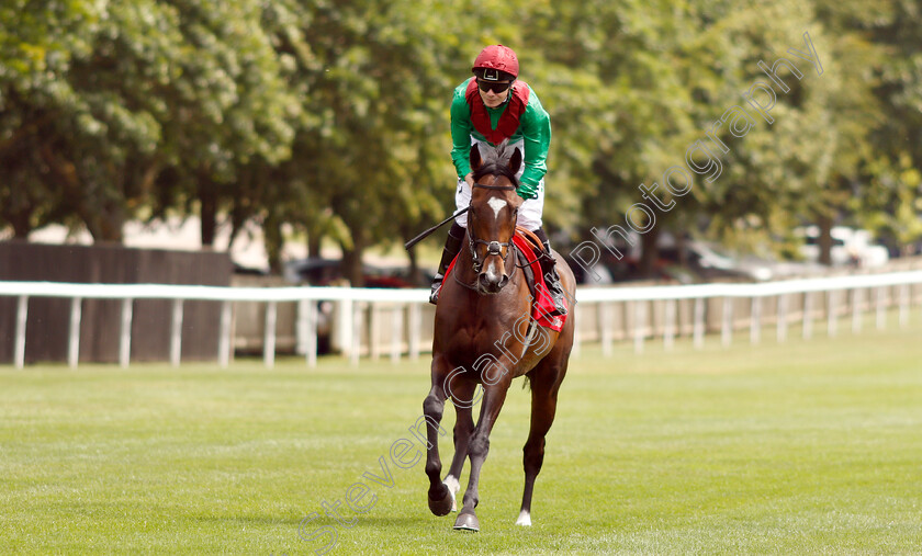 Spanish-Mission-0001 
 SPANISH MISSION (Jamie Spencer) winner of The Bahrain Trophy
Newmarket 11 Jul 2019 - Pic Steven Cargill / Racingfotos.com