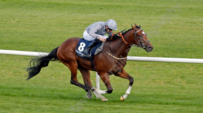 Flight-Plan-0001 
 FLIGHT PLAN (Daniel Tudhope) wins The Dullingham Park Stakes
Leopardstown 9 Sep 2023 - Pic Steven Cargill / Racingfotos.com