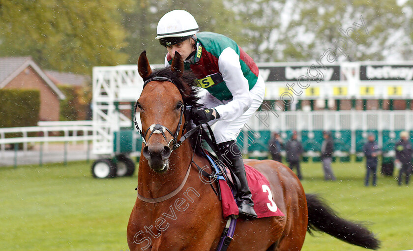 Make-My-Day-0001 
 MAKE MY DAY (Robert Havlin)
Haydock 27 Apr 2019 - Pic Steven Cargill / Racingfotos.com