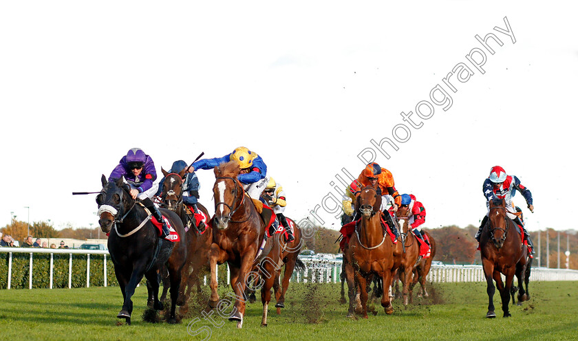 Dream-Of-Dreams-0002 
 DREAM OF DREAMS (2nd left, Jim Crowley) beats PERFECT PASTURE (left) in The Betfred Mobile Wentworth Stakes Doncaster 11 Nov 2017 - Pic Steven Cargill / Racingfotos.com