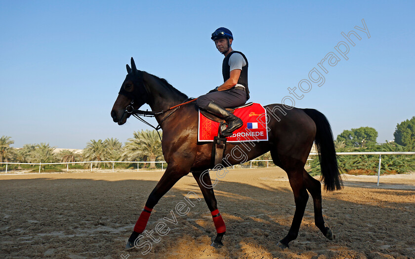 Andromede-0001 
 ANDROMEDE training for the Bahrain International Trophy
Kingdom of Bahrain 13 Nov 2024 - Pic Steven Cargill / Racingfotos.com