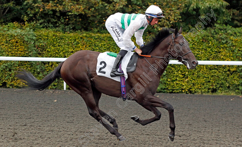 Allegorical-0002 
 ALLEGORICAL (Rossa Ryan)
Kempton 8 Sep 2023 - Pic Steven Cargill / Racingfotos.com