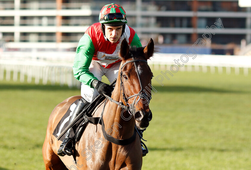 Al-Shahir-0001 
 AL SHAHIR (Harry Skelton)
Newbury 30 Nov 2018 - Pic Steven Cargill / Racingfotos.com