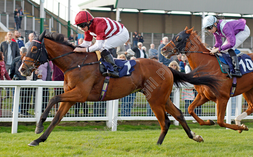 Pocket-The-Profit-0005 
 POCKET THE PROFIT (Ryan Moore) wins The Free Replays On attheraces.com Nursery
Yarmouth 19 Oct 2021 - Pic Steven Cargill / Racingfotos.com