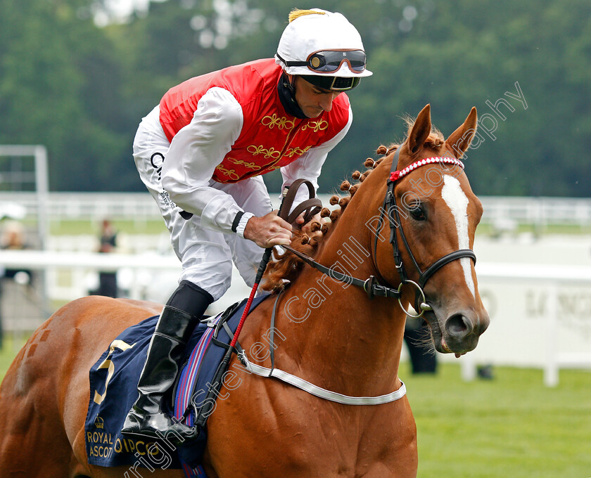 Khunan-0001 
 KHUNAN (Daniel Tudhope)
Ascot 17 Jun 2021 - Pic Steven Cargill / Racingfotos.com