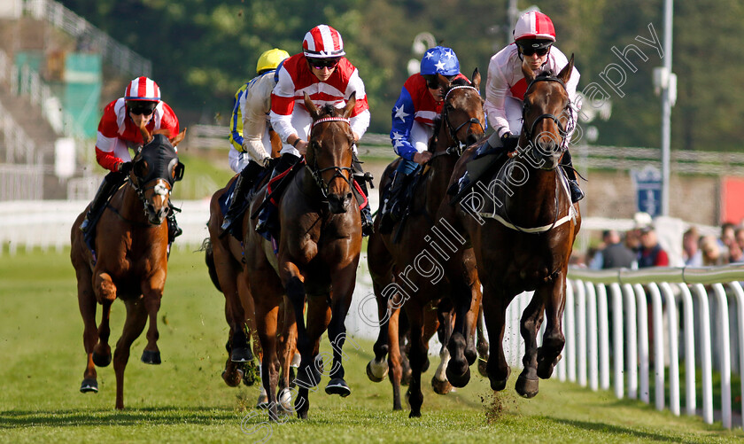 Arch-Legend-and-Takes-Time-0001 
 ARCH LEGEND (right, Franny Norton) with TAKES TIME (centre, Tom Marquand)
Chester 9 May 2024 - Pic Steven Cargill / Racingfotos.com