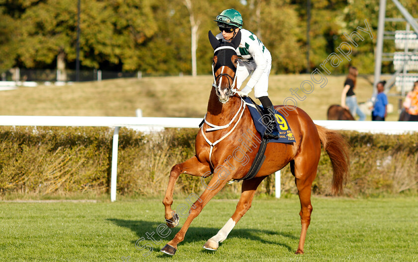 Hard-One-To-Please-0001 
 HARD ONE TO PLEASE (Elione Chaves)
Bro Park, Sweden 15 Sep 2024 - Pic Steven Cargill / Racingfotos.com