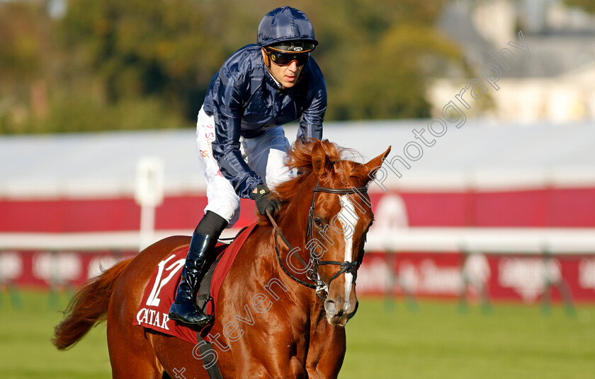 Grateful-0009 
 GRATEFUL (Christophe Soumillon) winner of The Qatar Prix de Royallieu
Longchamp 5 Oct 2024 - Pic Steven Cargill / Racingfotos.com