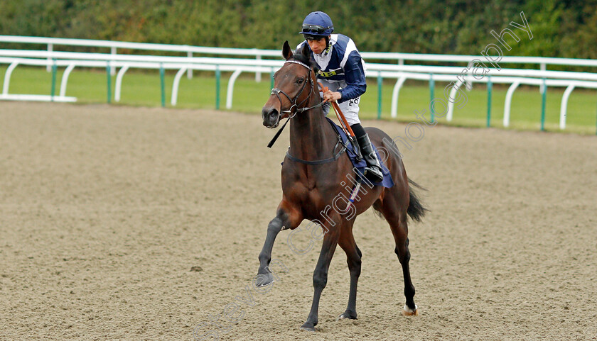 Forbidden-Land-0001 
 FORBIDDEN LAND (Sean Levey)
Lingfield 3 Oct 2019 - Pic Steven Cargill / Racingfotos.com