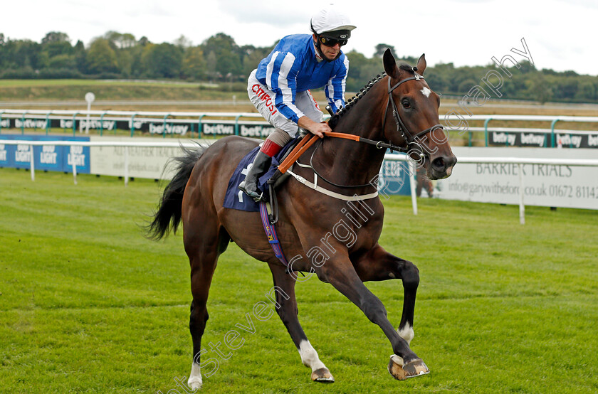 King-Zain-0005 
 KING ZAIN (Franny Norton) wins The Betway EBF Novice Stakes
Lingfield 7 Sep 2020 - Pic Steven Cargill / Racingfotos.com