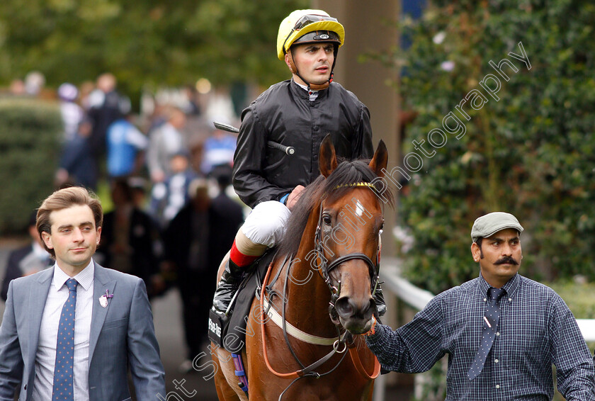 Fille-De-Reve-0007 
 FILLE DE REVE (Andrea Atzeni) after The Fever-Tree Handicap
Ascot 8 Sep 2018 - Pic Steven Cargill / Racingfotos.com