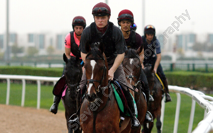 Hunting-Horn-0001 
 HUNTING HORN leads the Aidan O'Brien string training
Meydan 28 Mar 2019 - Pic Steven Cargill / Racingfotos.com