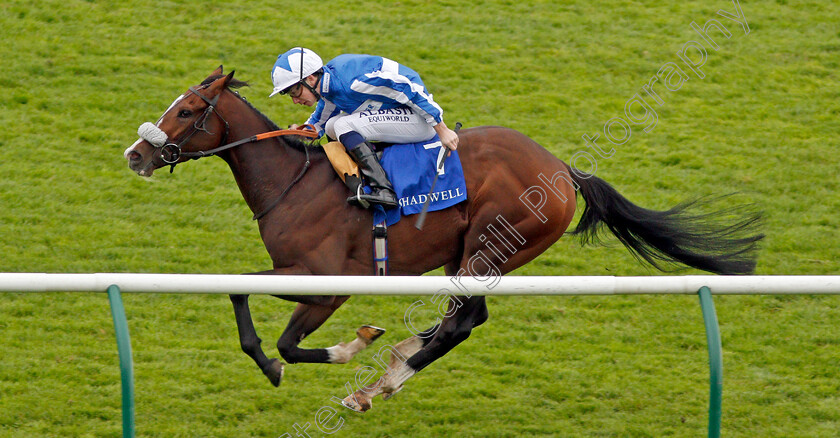 Beat-The-Bank-0008 
 BEAT THE BANK (Oisin Murphy) wins The Shadwell Joel Stakes Newmarket 29 Sep 2017 - Pic Steven Cargill / Racingfotos.com