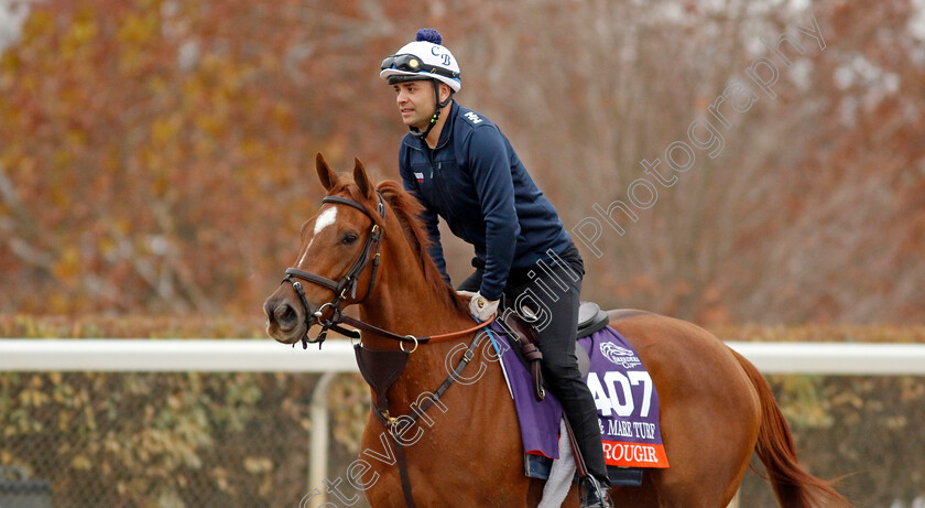 Rougir-0001 
 ROUGIR training for the Breeders' Cup Filly & Mare Turf
Keeneland, USA 31 Oct 2022 - Pic Steven Cargill / Racingfotos.com